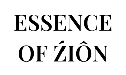 light logo